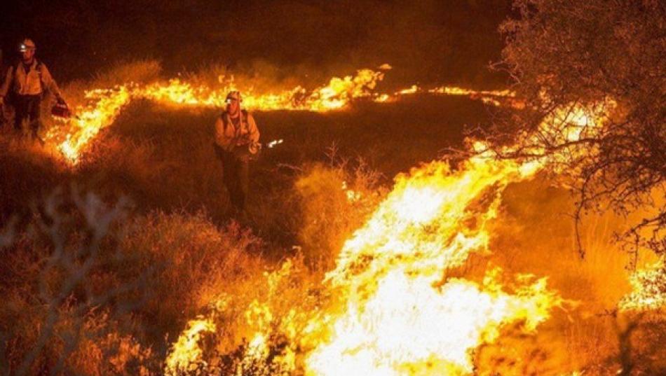 Primary accused surrender in Kurangani fire accident